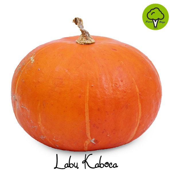 

SAYURAN / LABU KABOCHA KUNING [1KG]