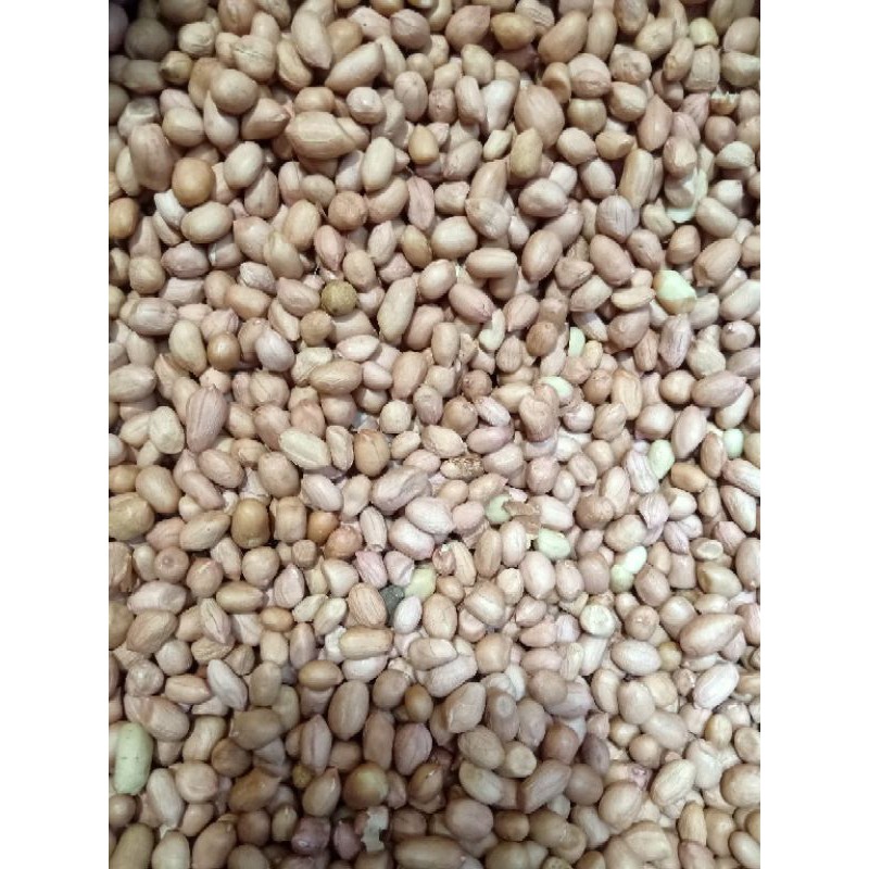 

KACANG TANAH SUPER 1KG