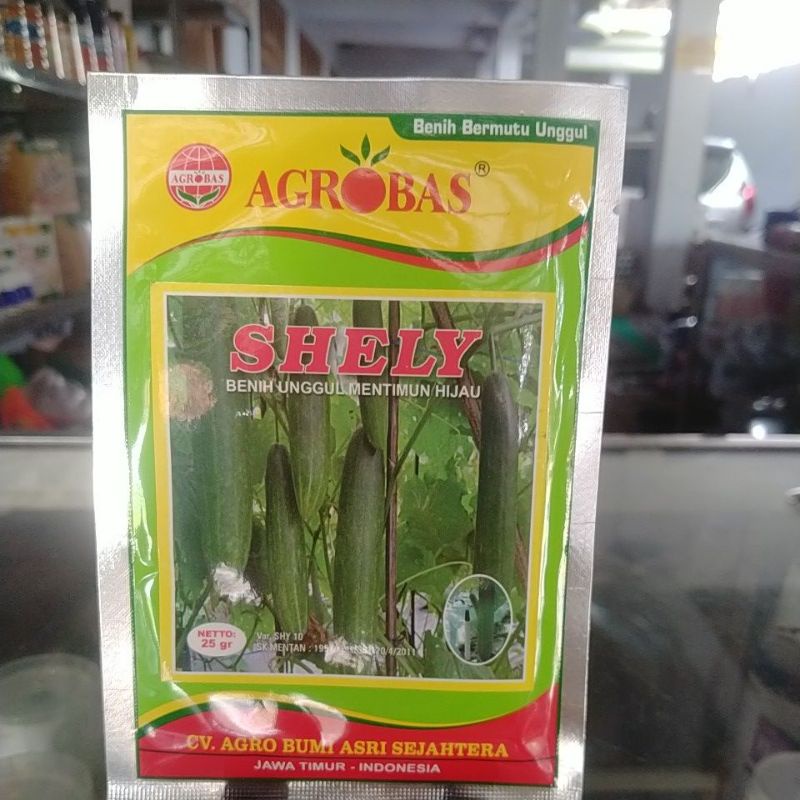 benih timun by agrobas