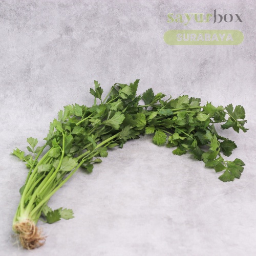 

Daun Seledri Conventional 100 gram (Sayurbox) - SURABAYA