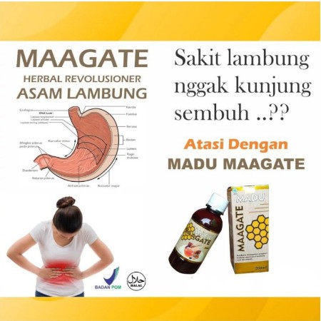 

OBAT MAAG ASAM LAMBUNG AMPUH MADU MAAGATE GERD & ANXIETY - HERBAL MAAG KRONIS TERLARIS