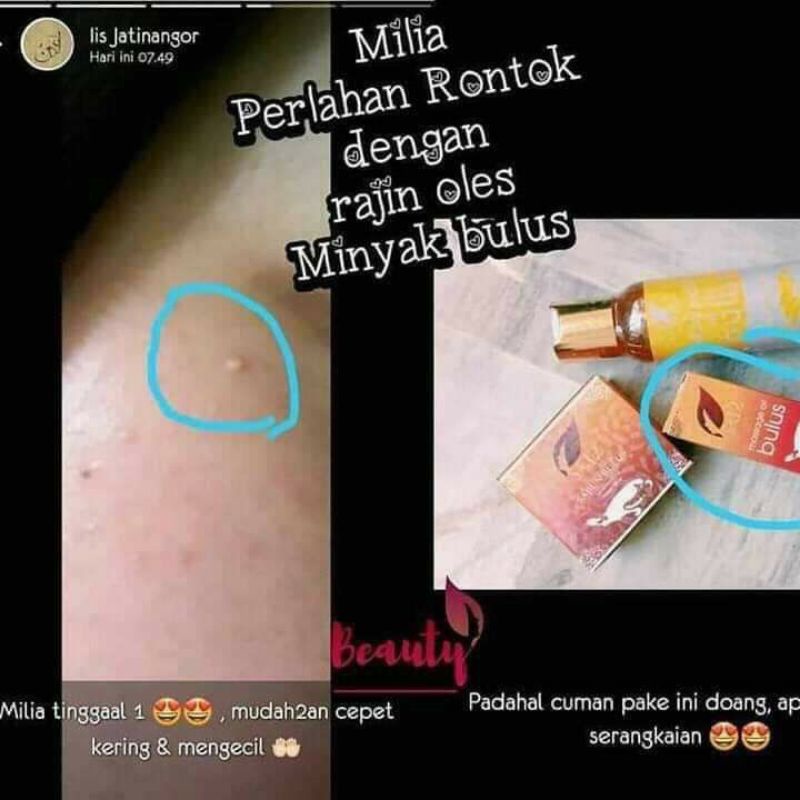 Bulus Oil SR12/MINYAK BULUS SR12