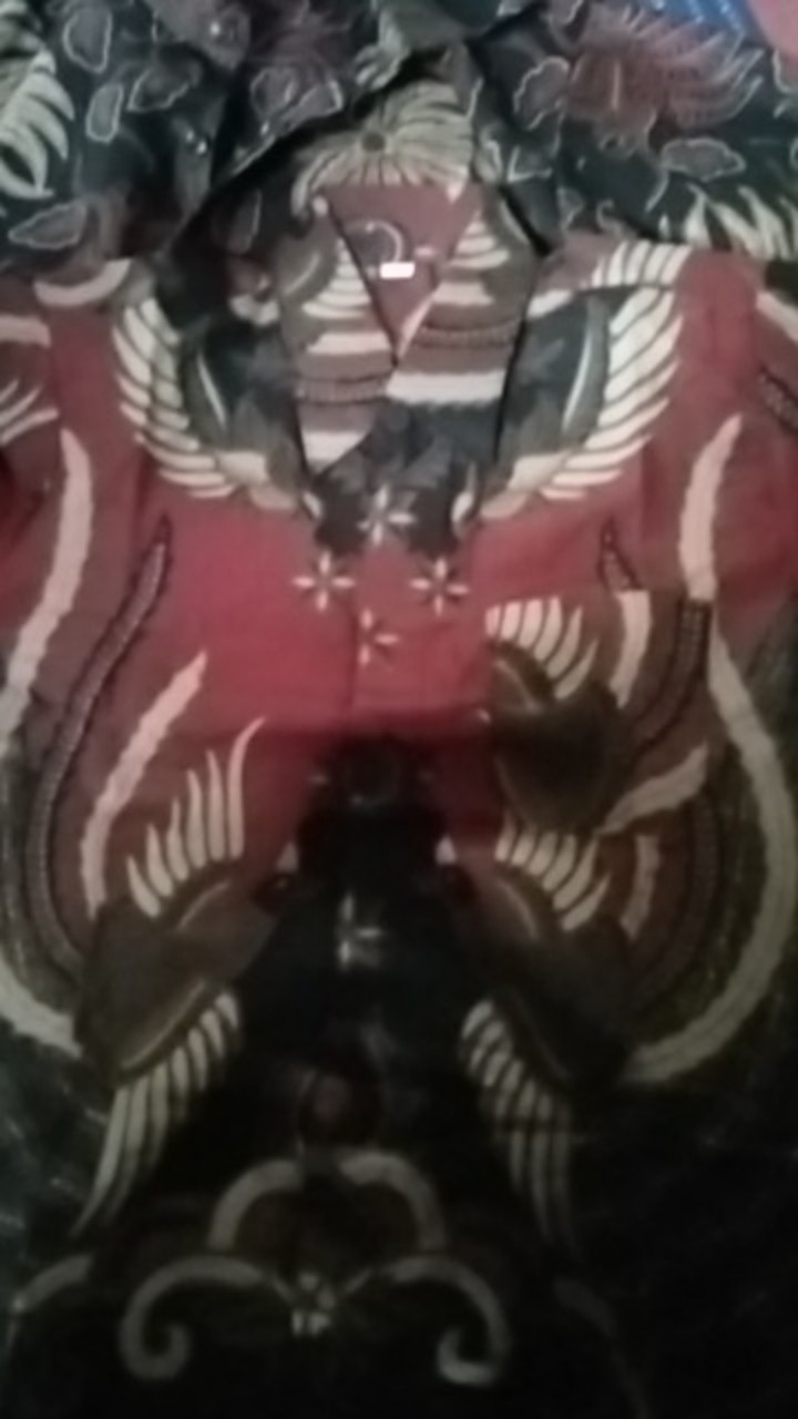 Baju Batik Anak Laki-laki Lengan Panjang Umur 2-14 Tahun Bisa Buat Sekolah Hari Batik