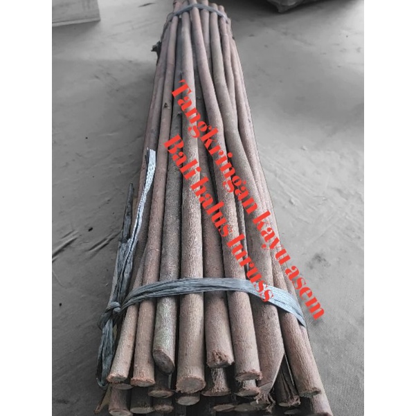 tangkringan sangkar burung murai Kacer kenari asem Bali halus.