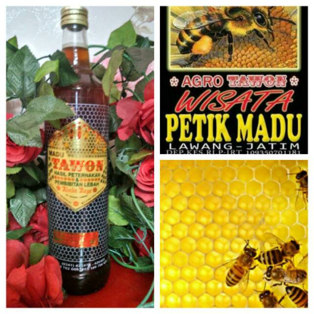 

MADU MURNI BUNGA LENGKENG TAWON LOKAL 600ML