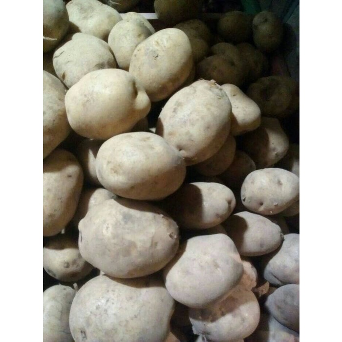 

Gg1Hh Kentang Lokal 500 Gr s1Gkk