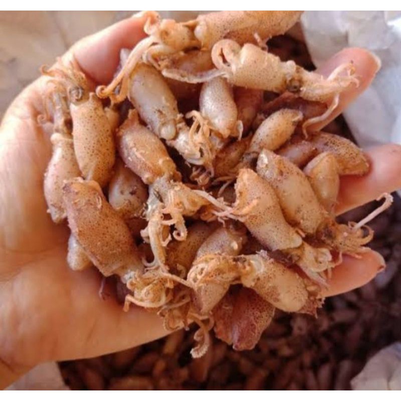 

baby Cumi asin kering 1kg