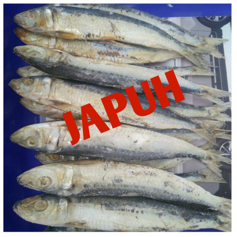 

IKAN ASIN JAPUH