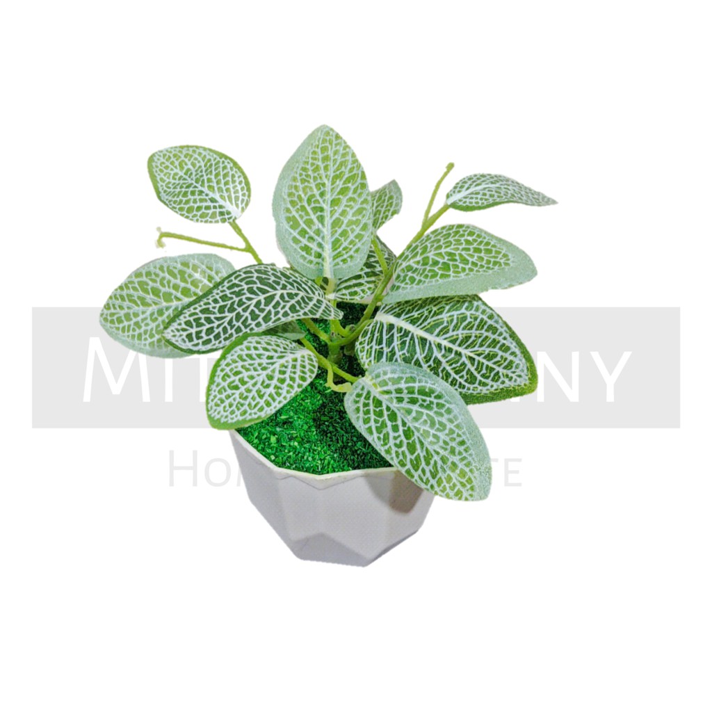 TANAMAN BUNGA ARTIFICIAL BUNGA HIAS DEKORASI HIASAN RUMAH BUNGA PLASTIK MURAH BUNGA AGLONEMA MINI-KD-004