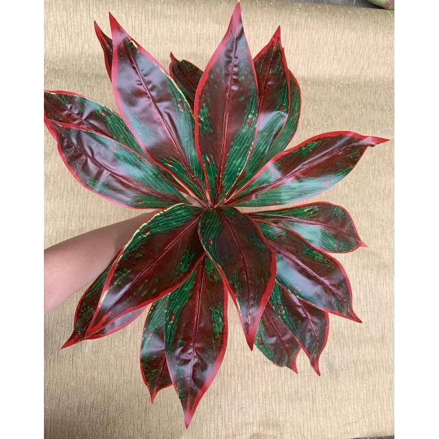 Daun Sri rejeki merah artificial 50cm
