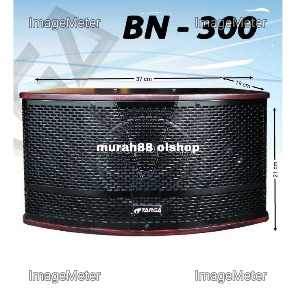 PAKET HOME KAROKE SPEAKER TARGA BN-300 BLUETOOTH