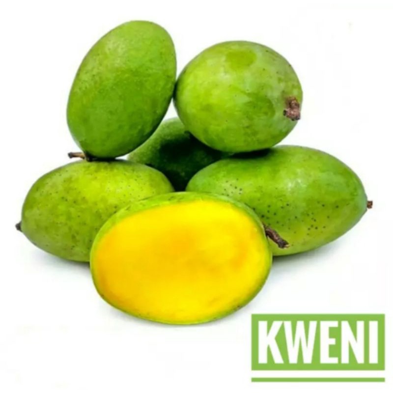 

Buah Segar Mangga Kweni per pcs