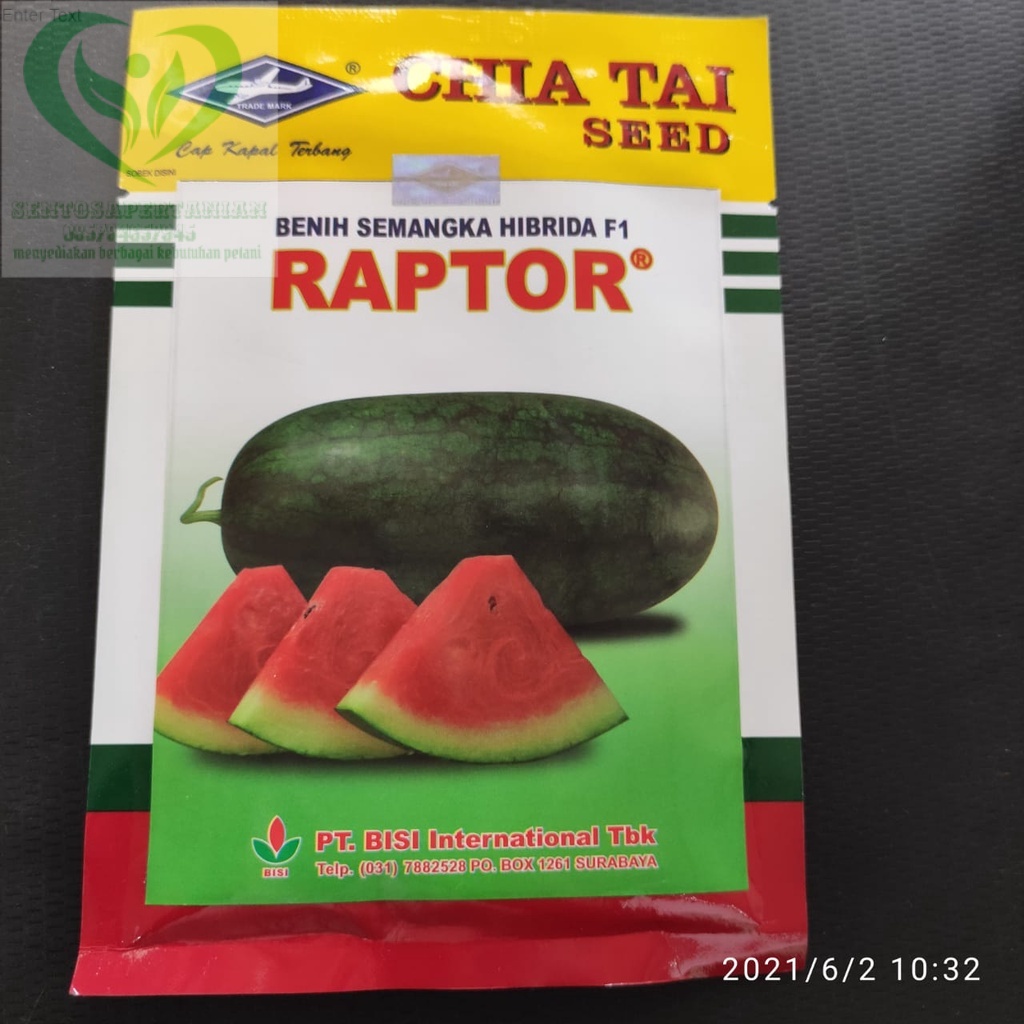 Benih Semangka Hibrida F1 RAPTOR isi 20gr dari CAP KAPAL TERBANG