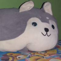 faridatussholihah1234