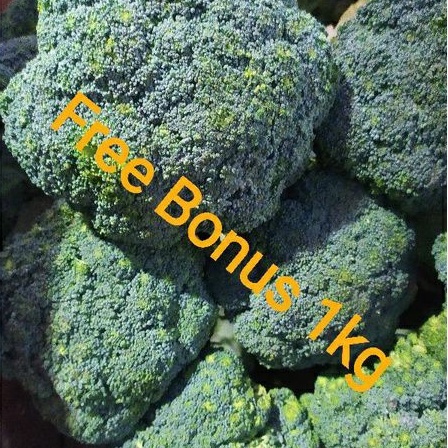 

Broccoli + Gratis Bonus
