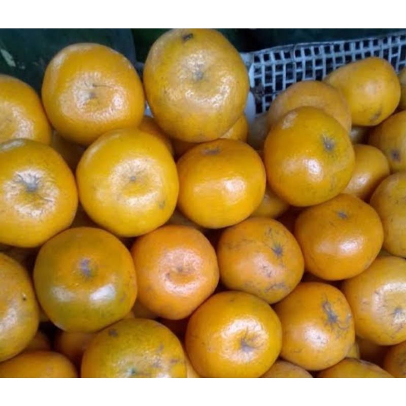 

Jeruk Medan(Manis)1000gram