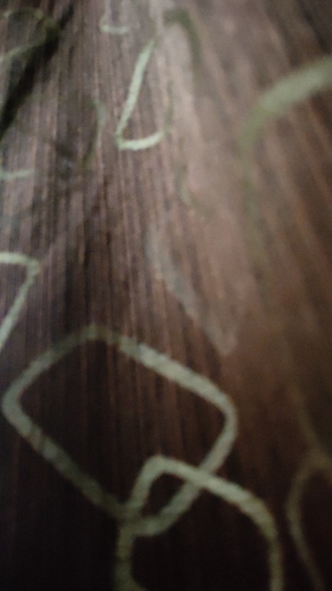 Bt88 - Tempat Tissue Toilet Wc Roll Gulung Kotak Tempel Dinding Keramik Tanpa Paku Tanpa Bor Paku