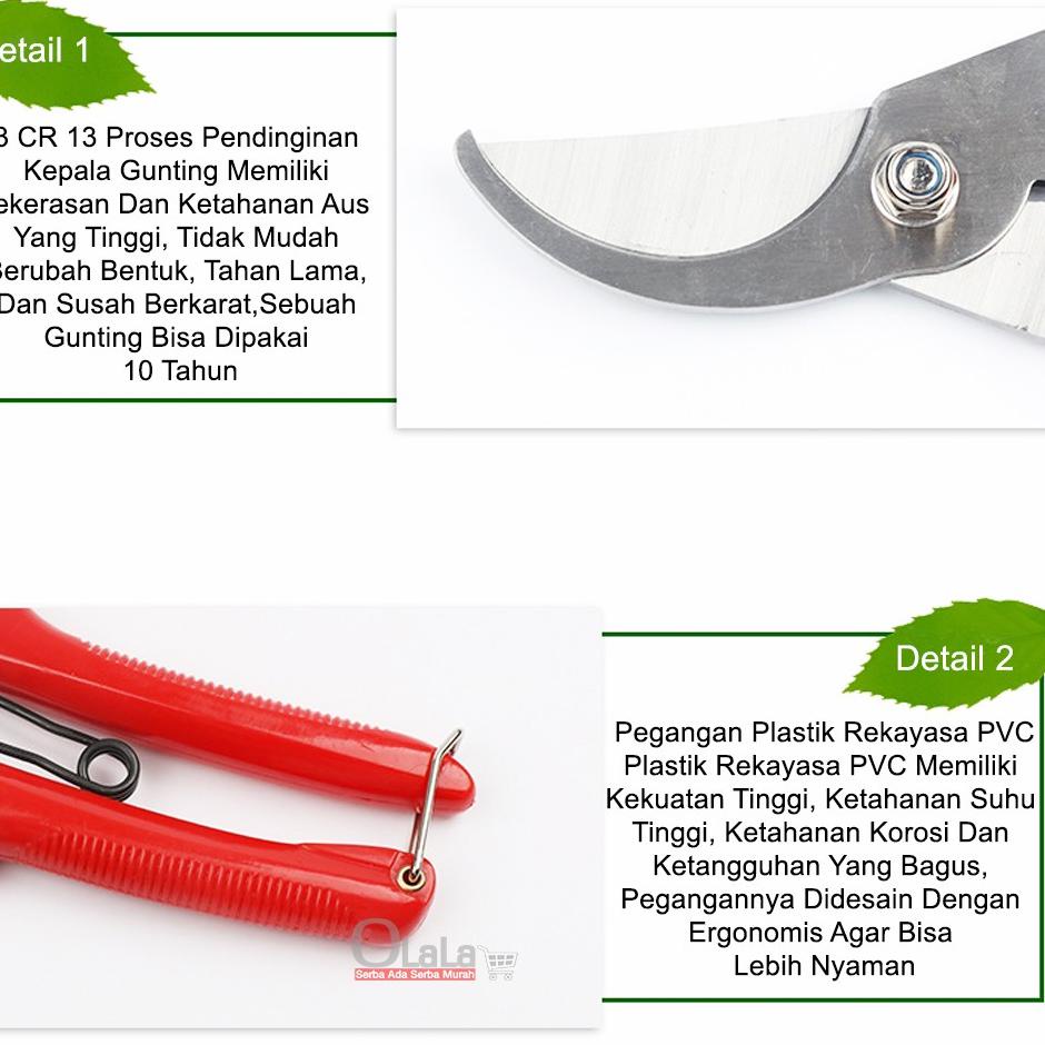 

Super Promo.. GUNTING TANAMAN / GUNTING BUNGA OLLK-401 81
