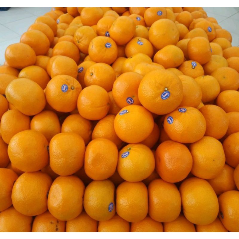 

Jeruk Phoenix Australia Manis Premium 1 kg