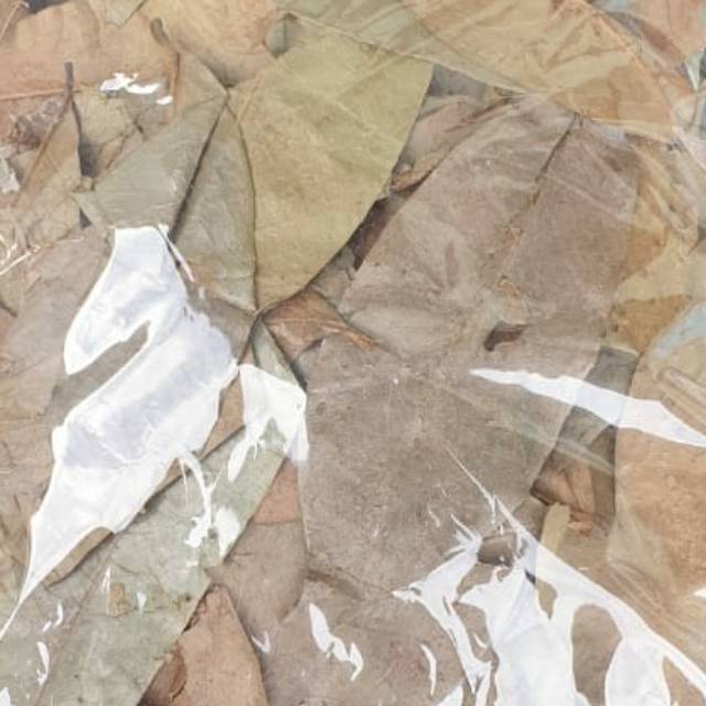 

Daun sirsat kering 1kg