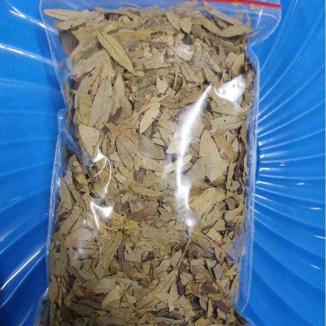 

Teh jati ( teh buang lemak ,langsing )