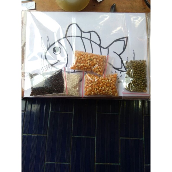 

Arm kolase biji bijian ikan nemo tempel sendiri