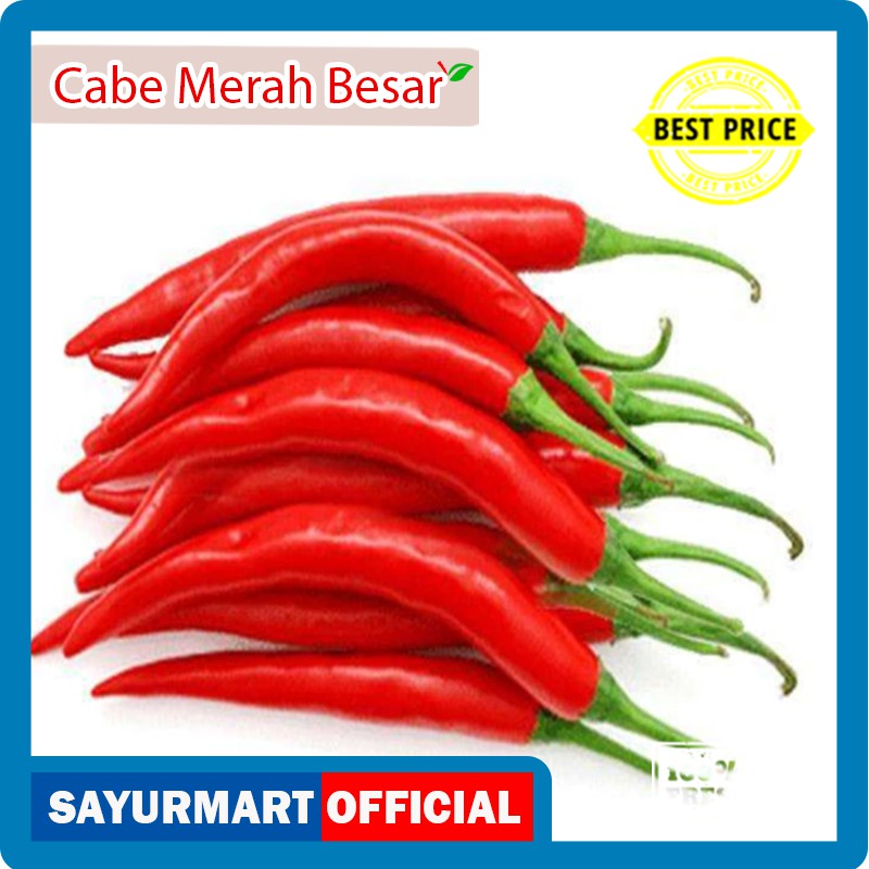 

Cabe Merah Besar TW 0,1 kg