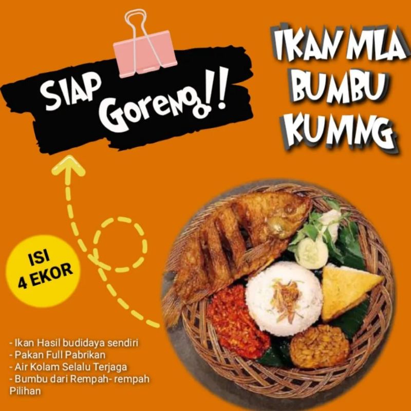 

Ikan Nila (Mujair) Siap Goreng