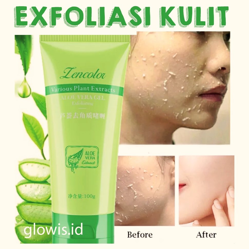 Exfoliating Aloe Vera Centella Asiatica Peeling Gel Eksfoliasi Wajah Kulit 60g XX071