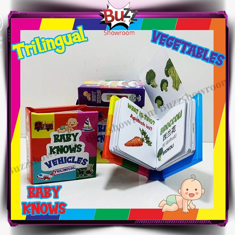 Baby Knows Buku Edukasi Anak Bayi Pop Up Book Multi bahasa