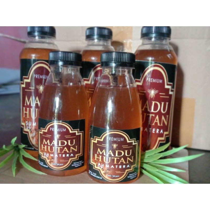

Madu Manis Liar Hutan Sumatera 100% Original