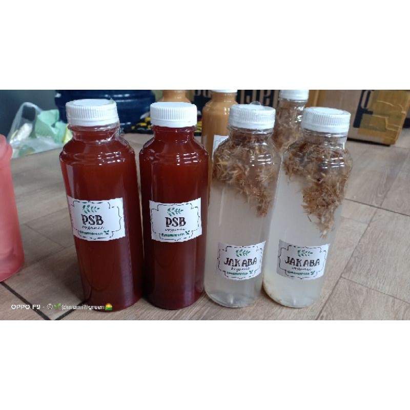 PAHE. DUO  best seller // PSB+JAKABA