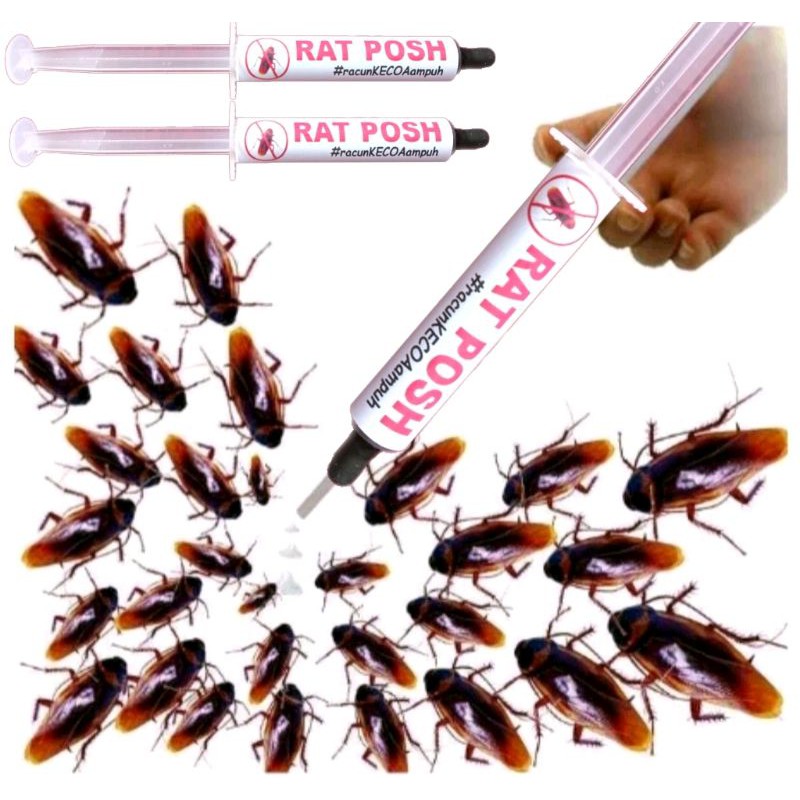 Racun Pembasmi Kecoa / Obat Kecoa gel