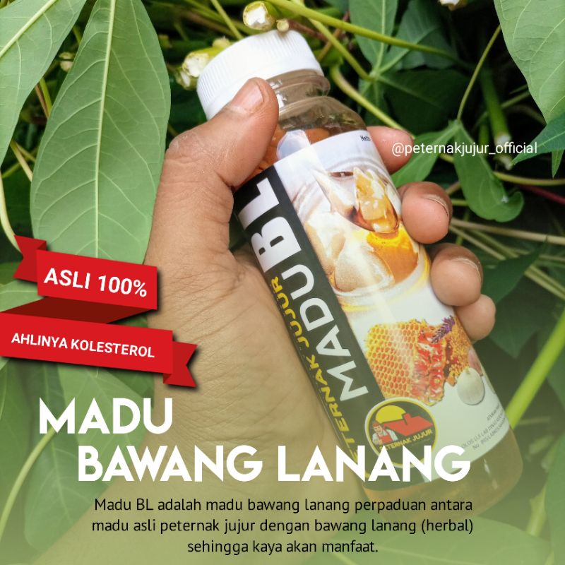 

Madu Bawang Lanang, Madu Bawang Tunggal, Madu BL