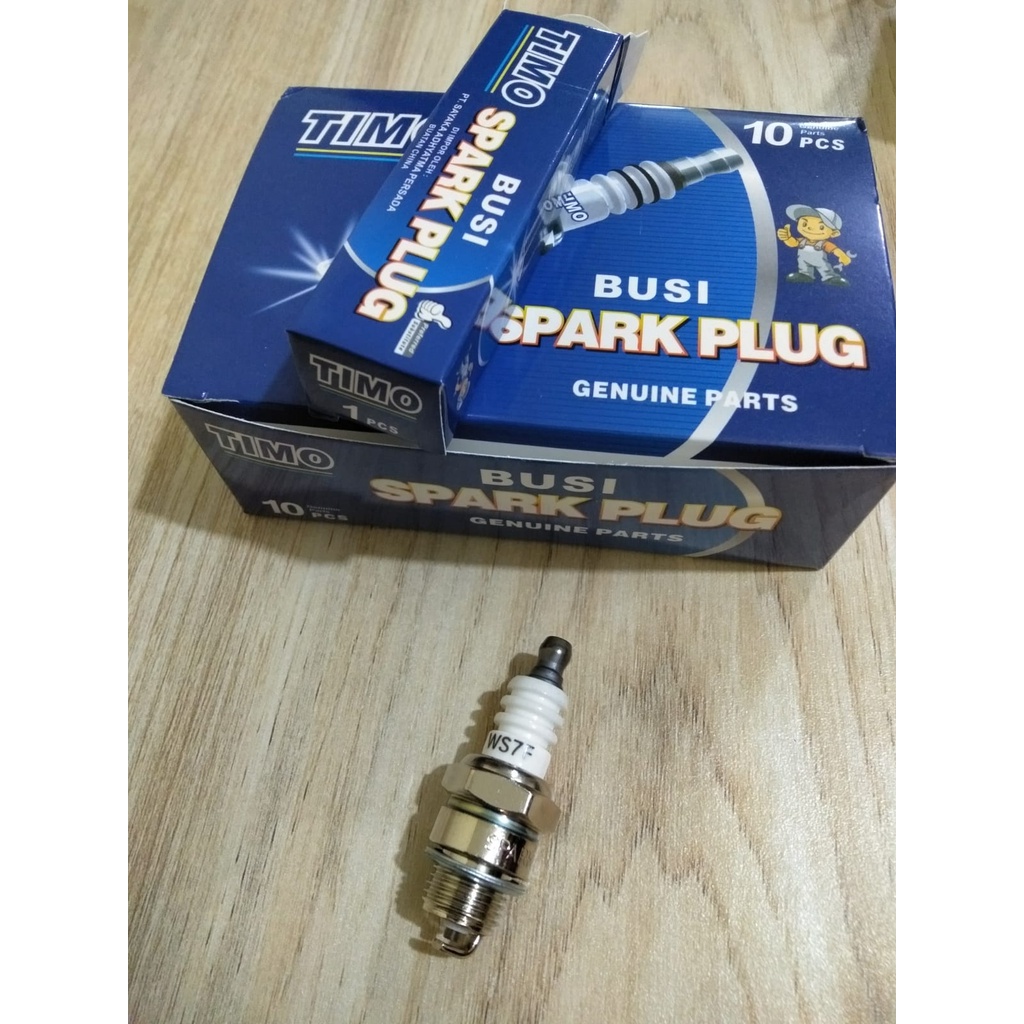 Busi Timo WS7F