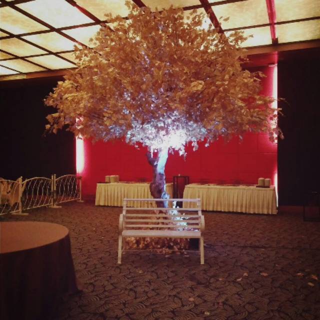 POHON WEDDING HIAS DEKORASI MAPLE GOLD