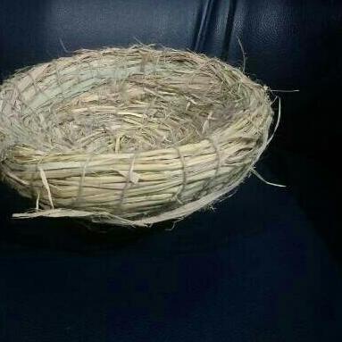 ▲ sarang telur/sarang telur ayam/sarang burung dara/sarang ayam/serabut ♦