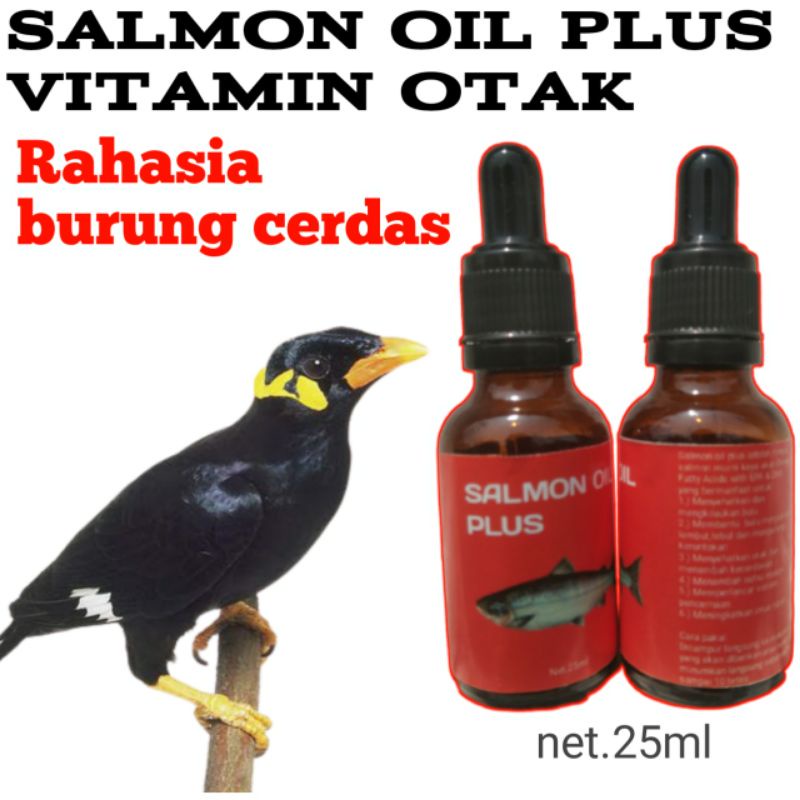 VITAMIN BURUNG BEO/VITAMIN OTAK BURUNG/SALMON OIL PLUS/MINYAK IKAN SALMON