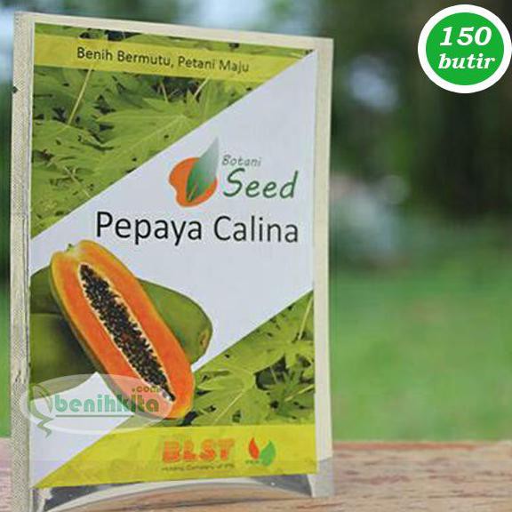 Produk Ready Benih/Bibit Pepaya Calina (California) Ipb 9 150 Butir (Botani Seed)