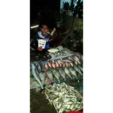 Sabiki / Kotrekan Boncengan Selar Tembang (Kotrek Pinggiran /Dermaga / Bagan)