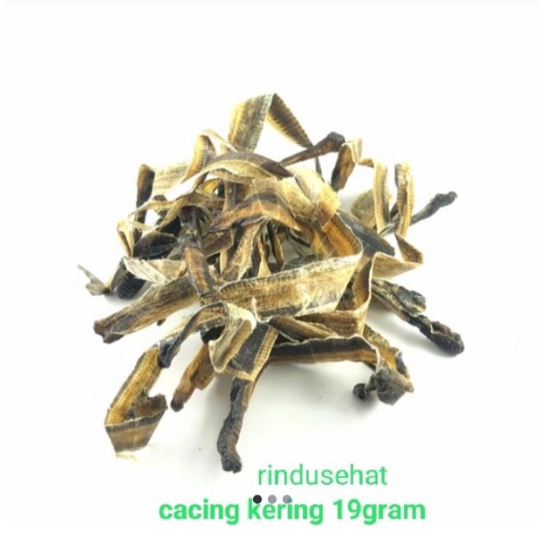 CACING KERING 19GR DILONG TILUNG OBAT DEMAM TIPES TILUNG KAN PANAS