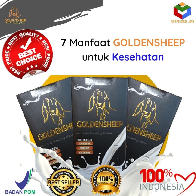 

susu kambing etawa kolostrum Goldensheep