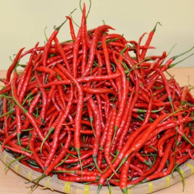 

Cabe merah keriting