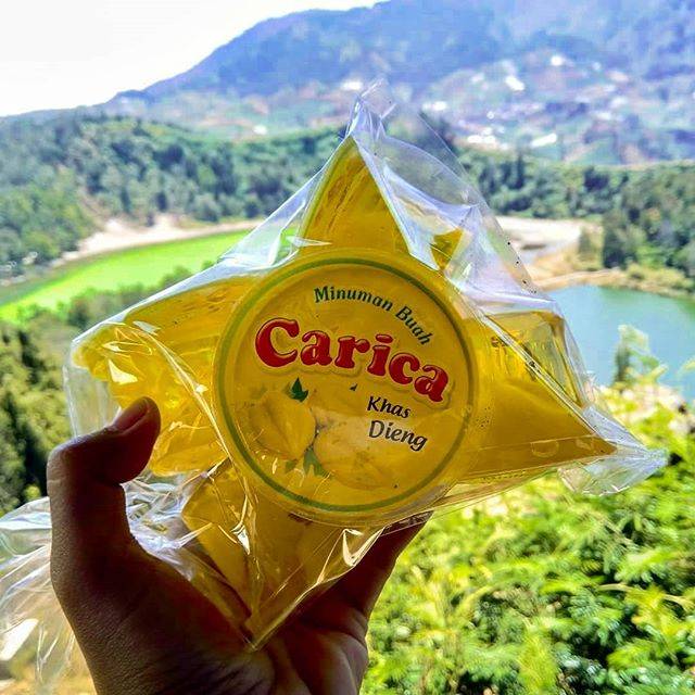 

Carica