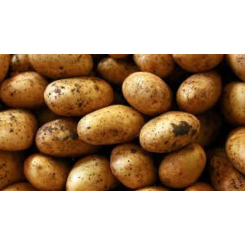 

Kentang 500gr