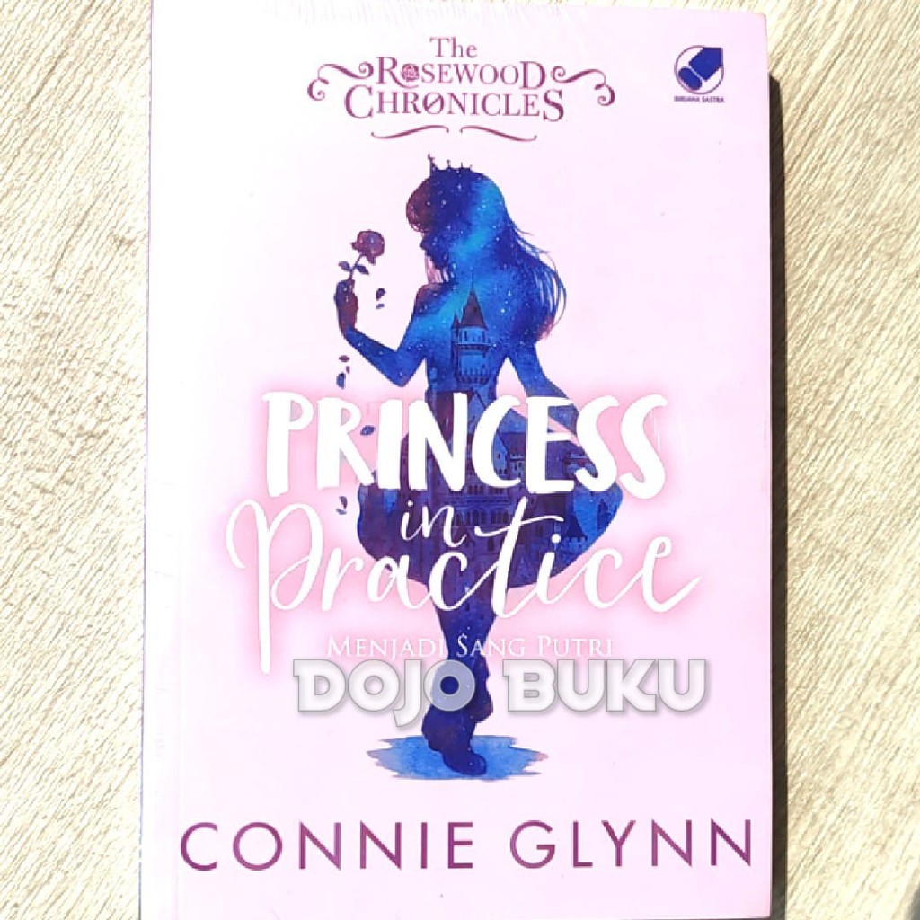 Princess In Practice by Connie Glynn