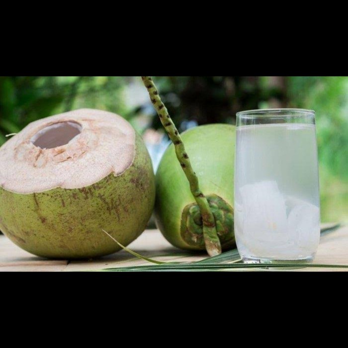 

Kelapa Muda Segar - 1 Buah