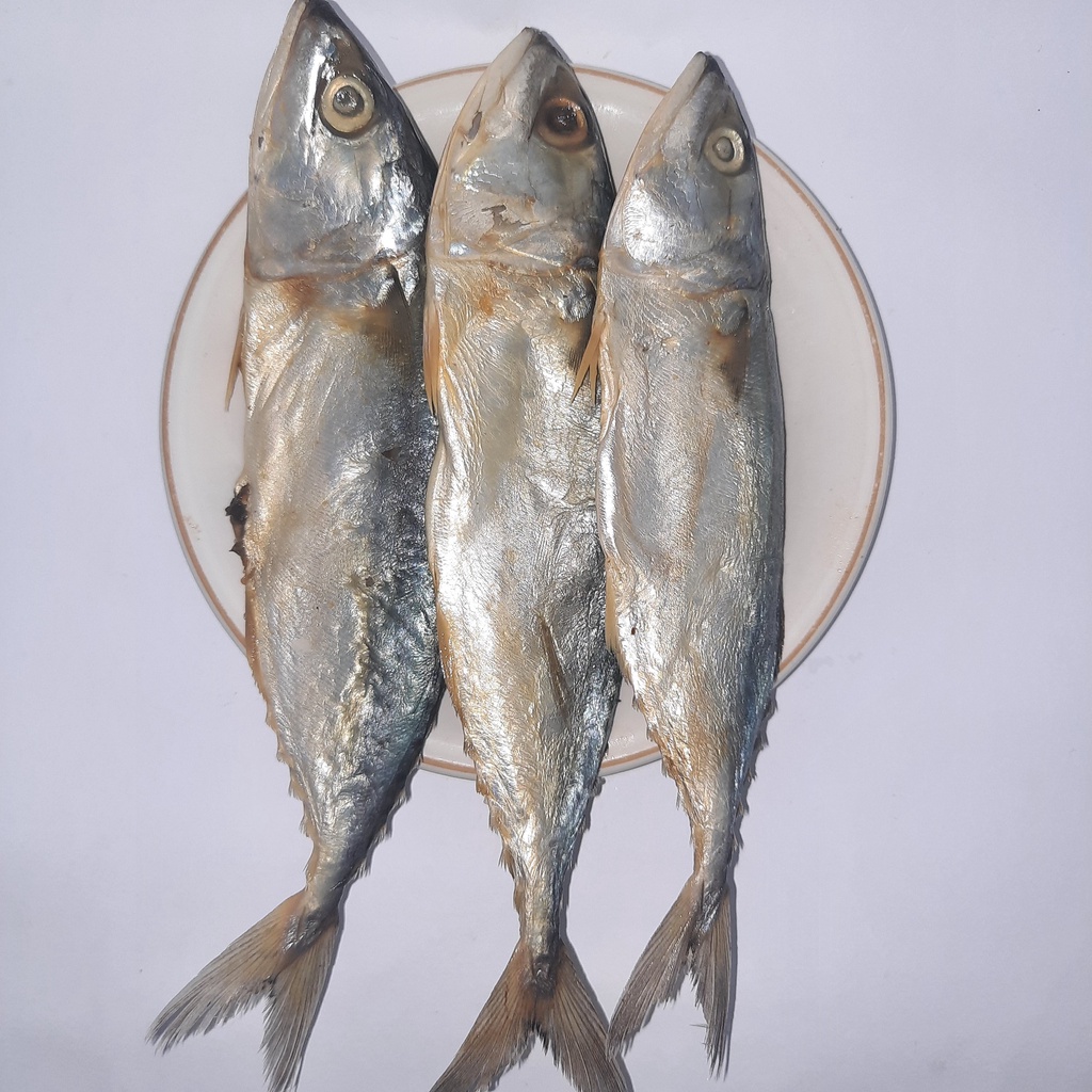 

Ikan Asin Peda Putih