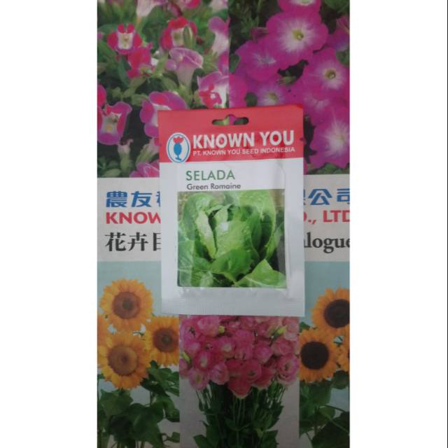 Benih Selada GREEN ROMAINE
