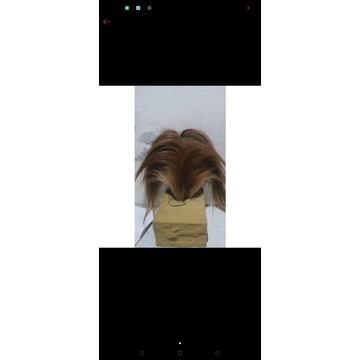 Ekor Kuda Super Tebel Panjang